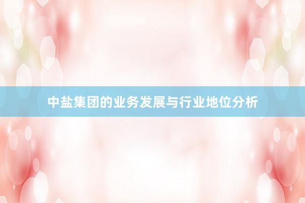 中盐集团的业务发展与行业地位分析