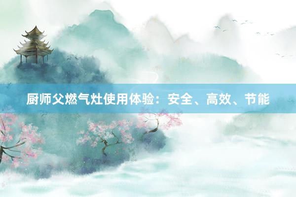 厨师父燃气灶使用体验：安全、高效、节能
